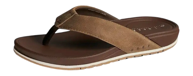 Reef Cushion Bonzer