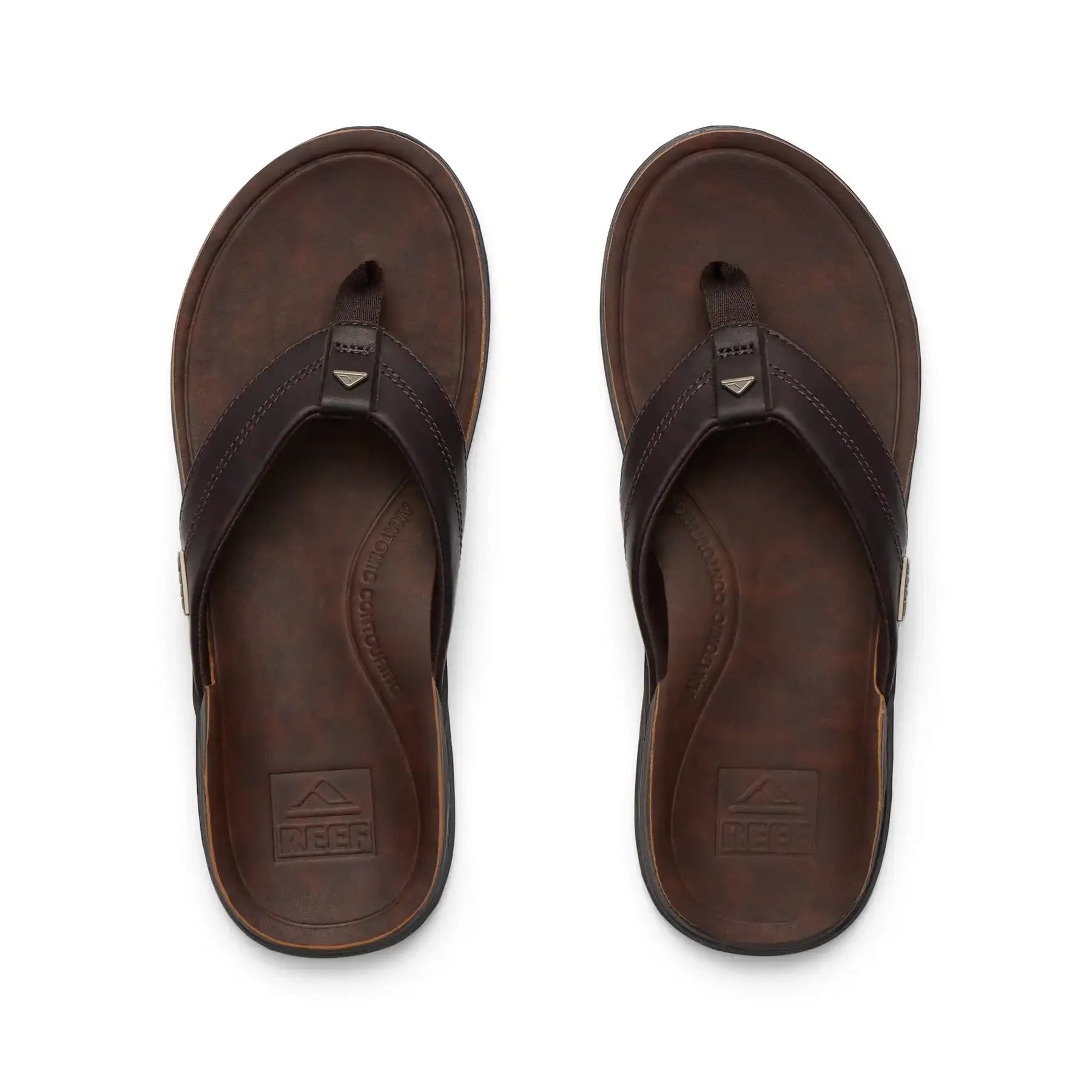 Reef slipper Offshore DBrown