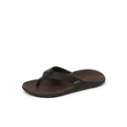 Reef slipper Offshore DBrown