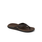 Reef slipper Offshore DBrown