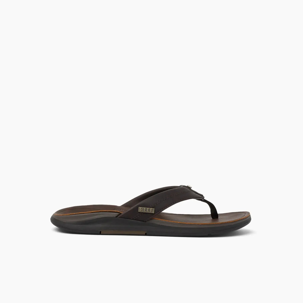Reef slipper Offshore DBrown