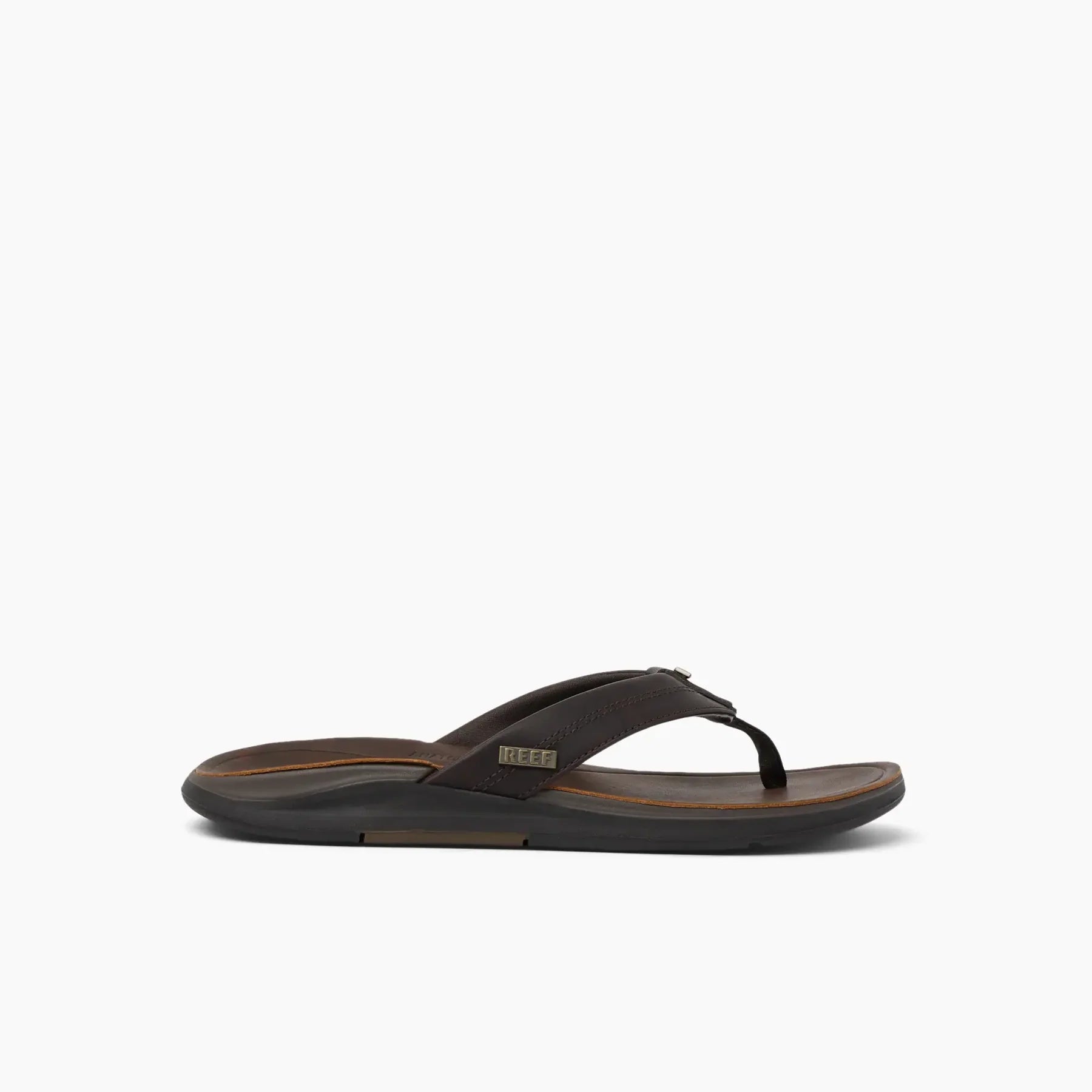 Reef slipper Offshore DBrown