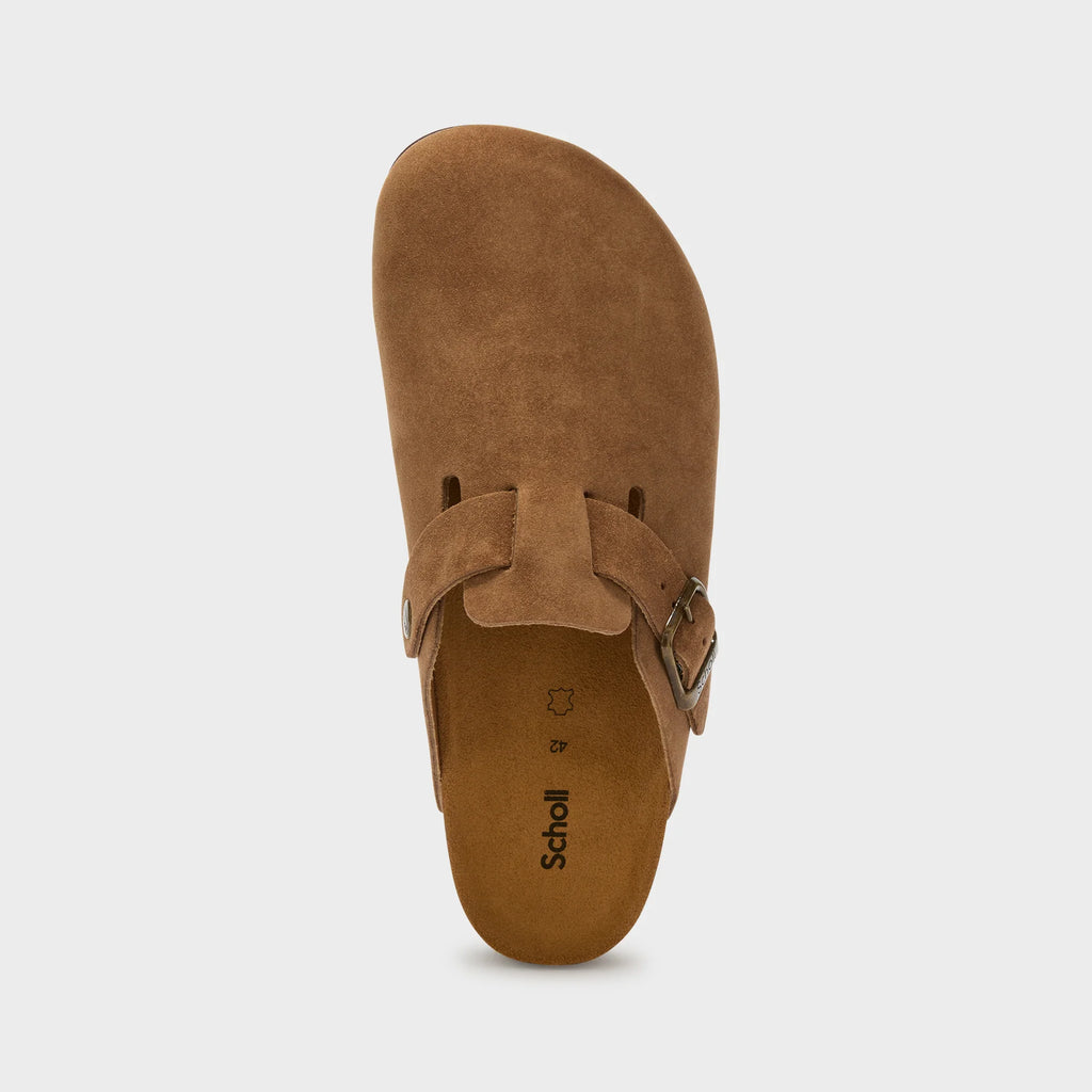 Scholl Olivier Mule Brown